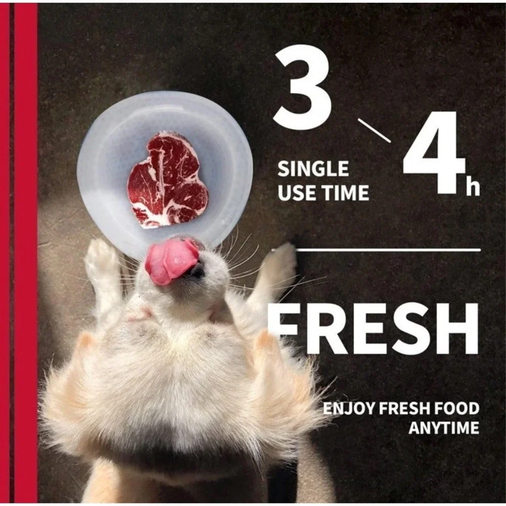 All For Paws Dog Bowl Chill Out Cooler Dish Medium 350 ML‎ for Pet Food or Water